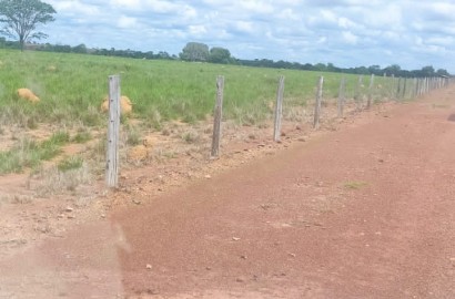 Fazenda à Venda com 730 alqueires no Vale do Araguaia